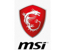 MSI